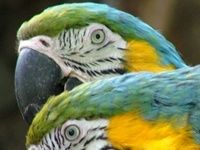 Ecuador Ecuador